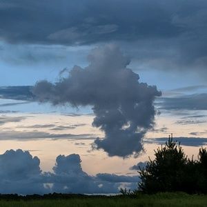 Meet your Posher, Eli